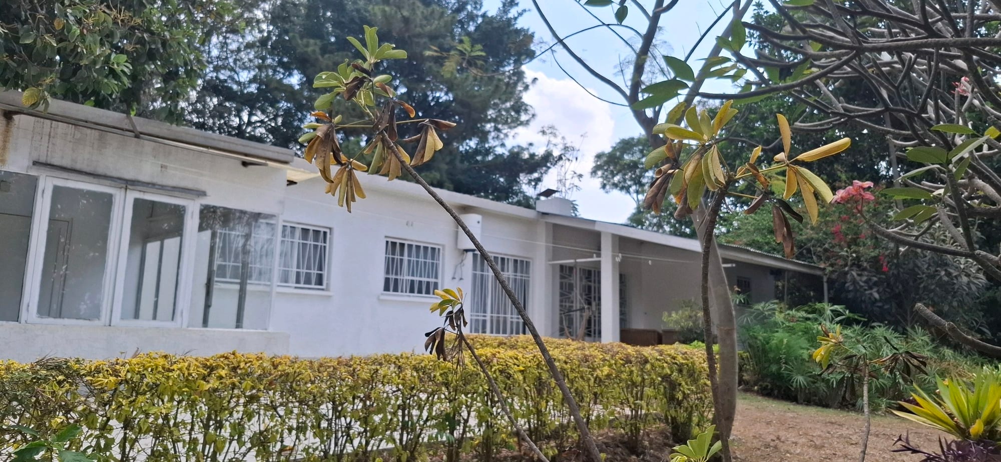 House for rent in Kiyovu, Kigali